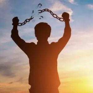 Meet your Posher, Mow